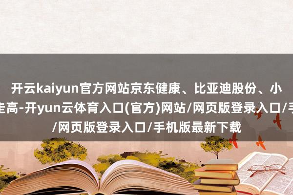 开云kaiyun官方网站京东健康、比亚迪股份、小鹏汽车等纷繁走高-开yun云体育入口(官方)网站/网页版登录入口/手机版最新下载